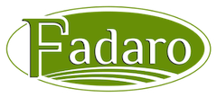 logotype