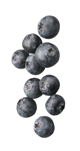 wholesale blueberries