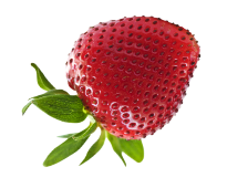wholesale strawberries