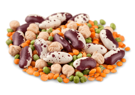 fadaro wholesale groceries