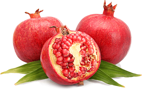 fadaro wholesale produce
