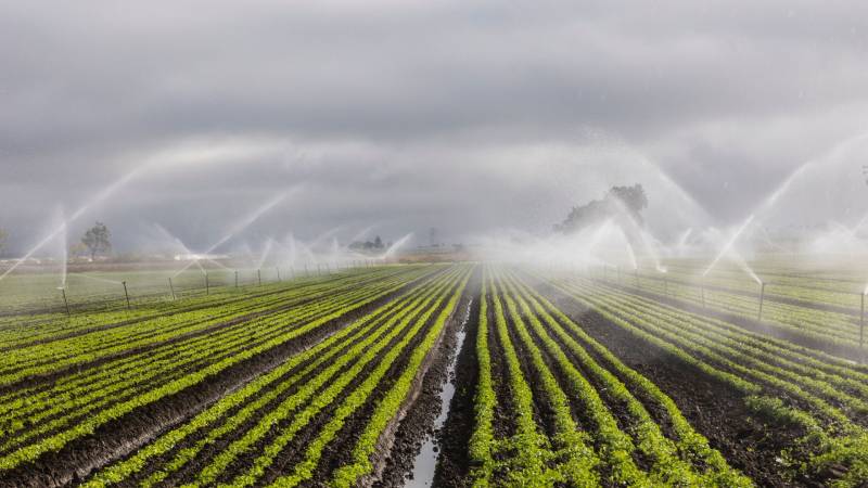 Fadaro Water Waste