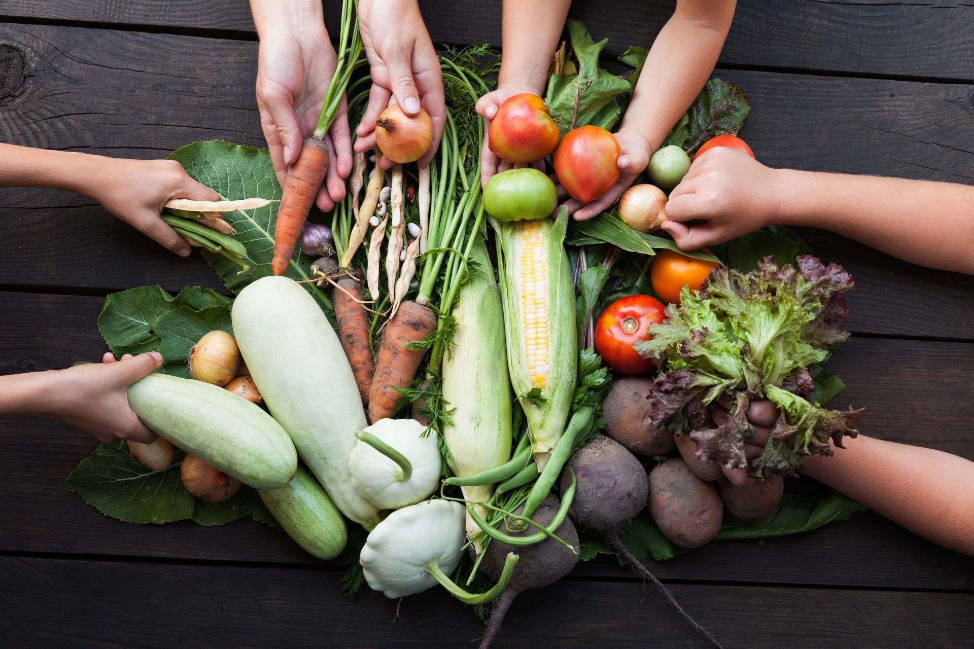Sustainable Food Menu