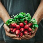 Food Distributors vs. Wholesale: Key Differences in NYC