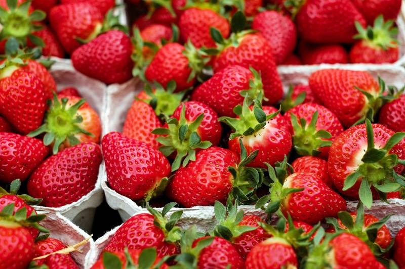 wholesale food buying
