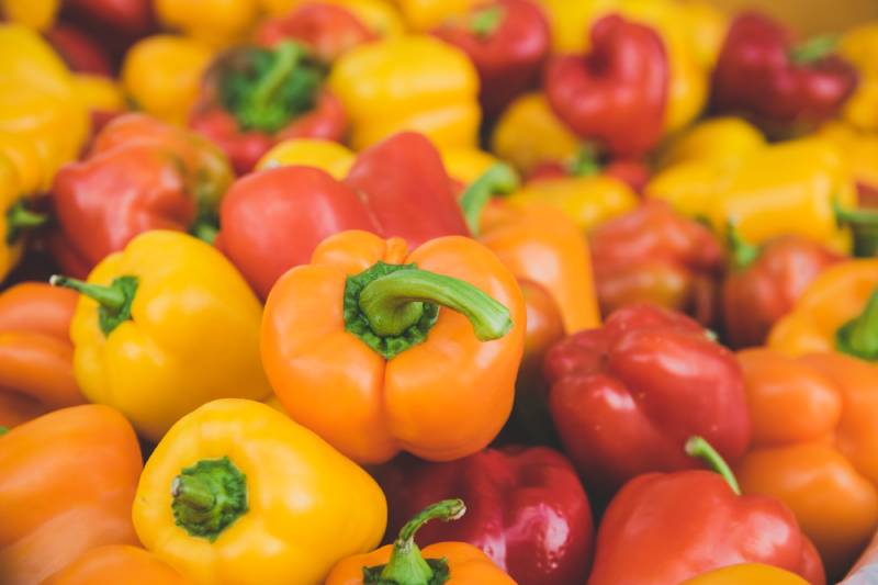 wholesale food supplier