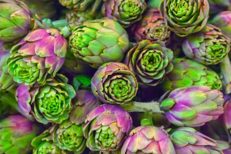Spring Seasonal Vegetables