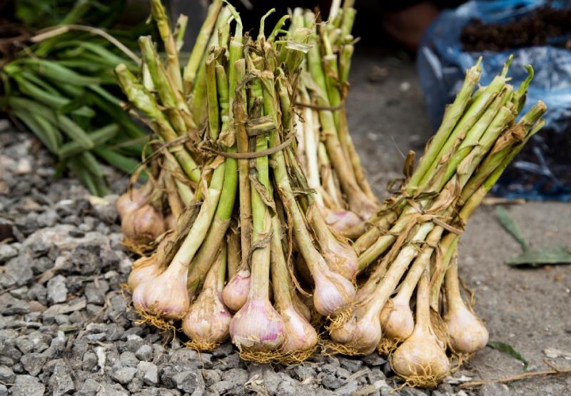spring vegetables 7