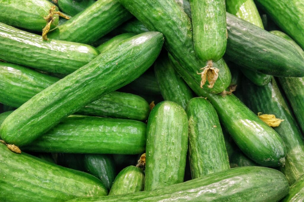 cucumber types