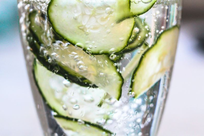 cucumber varieties