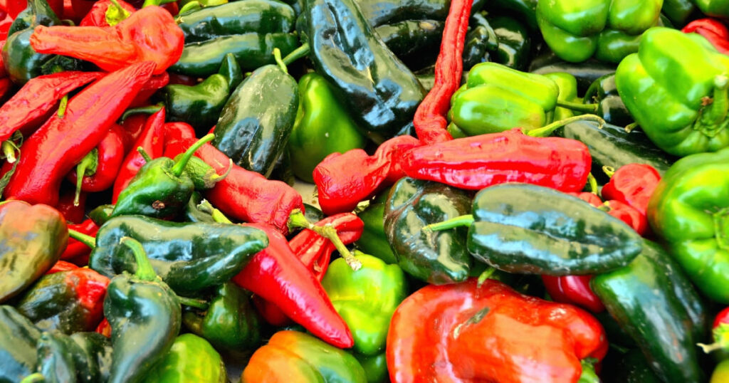 Corn summer vegetables guide