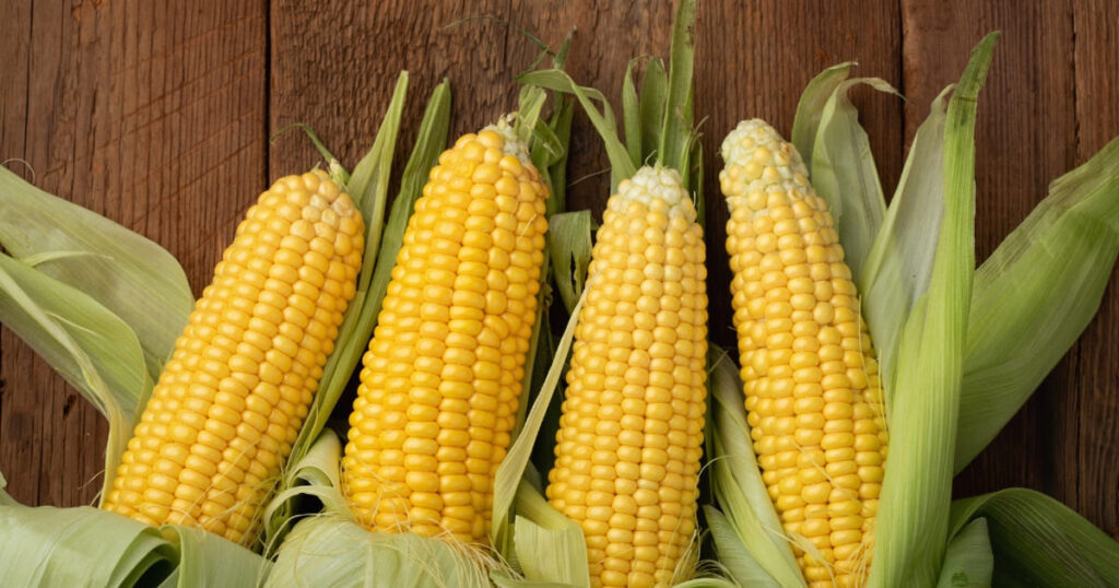 Corn summer vegetables guide