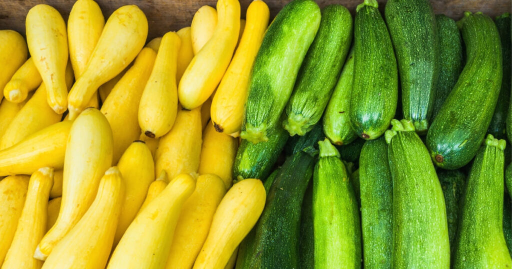 Summer squash summer vegetables guide