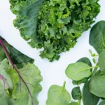 Fresh Vegetables in New York | Trusted Wholesale Supplier