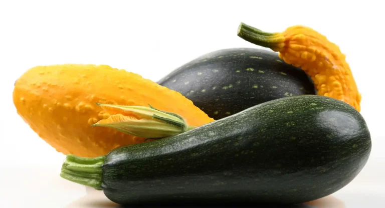 Fresh Vegetables Seasonal & Local Picks