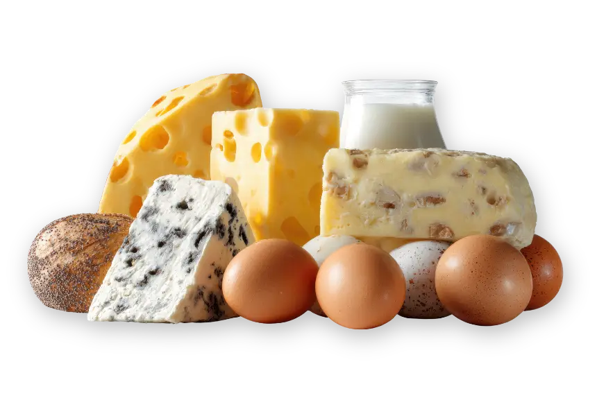 wholesale dairy eggs nyc fadaro