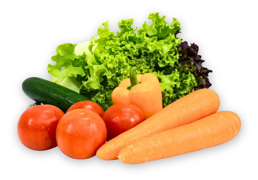 Fresh wholesale fruits and vegetables for NYC restaurants — Fadaro Foods