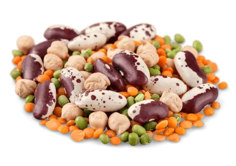 Wholesale grocery and frozen food products for commercial kitchens NYC