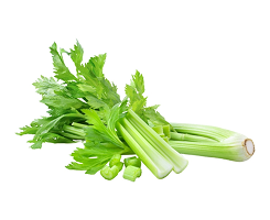 Celery