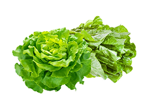 Lettuce, Romaine & Leafy Greens