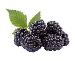 blackberries