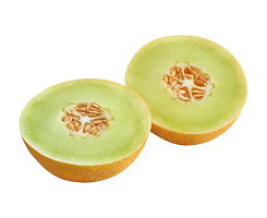 honeydew
