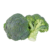 Broccoli1 1