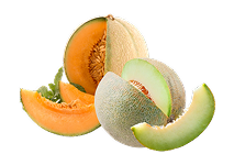 Cantaloupe